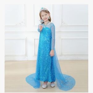 Disney Elsa Frozen Dress Up Dress For Girls Age 8-10 Sheer And Sequin